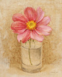 Cosmo Blossom in Glass Stampe di Danhui Nai