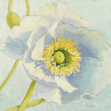 White Poppies I Láminas por Shirley Novak White Poppies I Láminas por Shirley Novak