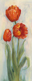 Rembrandt Tulips Print by Carol Rowan