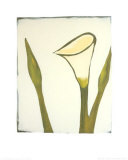 Arum, c.2003 Posters by Nicolas Le Beuan Bénic
