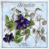 Clematite Póster por Vincent Jeannerot Clematite Póster por Vincent Jeannerot