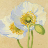 White Poppies III Láminas por Shirley Novak White Poppies III Láminas por Shirley Novak