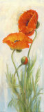 Rembrandt Poppies Affiches par Carol Rowan