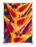 Heliconia Lámina giclée por Joanne Bolton