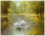 Swan Family Poster par Max Weber