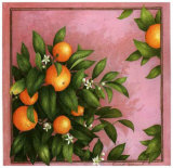 Oranges Prints by Vincent Jeannerot