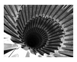 Spiral Staircase in Lublijana Photographic Print by Donna Corless