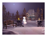 A Calm Winters Night Photographic Print by John Junek