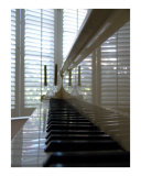 Musical Reflections Photographic Print by Florene 