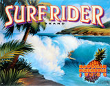 Surf Rider Plaque en métal