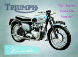 Triumph Bonneville Targa in metallo Triumph Bonneville Targa in metallo