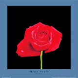 Red Rose Prints by Mina Selis