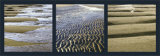 Maree Basse Prints by Laurent Pinsard
