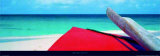 Anguilla Art by James Red