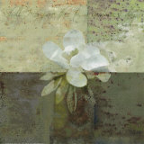 Floral with Cursive IV Prints by Pierre Fortin