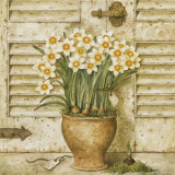 Potted Flowers I Plakater av Eric Barjot Potted Flowers I Plakater av Eric Barjot