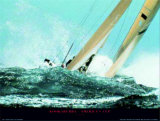 Kookaburra - America's Cup Prints by Carlo Borlenghi