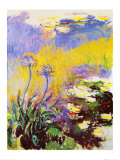 Les Agapanthes Prints by Claude Monet