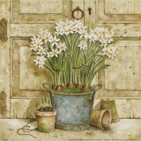 Potted Flowers II Posters by Eric Barjot