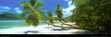 Mahe, Seychelles Posters by Harris Granville