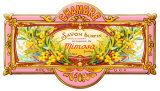 Mimosa Blechschild