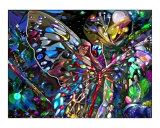Through the Wings of a Butterfly Photographic Print by Nicole L Marques