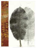 Blattstudie I Poster von Kerry Vander Meer