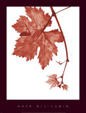 Red Bud Poster by Gil-lubin 