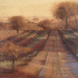Vineyard Vista Prints by Paul Mathenia