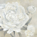 Paeonia II Affiches par Jettie Roseboom