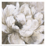Peonies Blanche II Print by Liv Carson