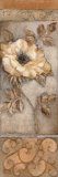 Pale Peony I Poster by Rosemary Abrahams