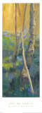 Into the Light II Posters av Dawna Barton