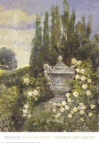 Yellow Roses Poster by P. Patrick