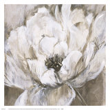 Peonies Blanche I Posters by Liv Carson