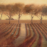 Vintage Sunlit Vineyard Print by Paul Mathenia