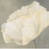 Poppy in White III Prints by Jettie Roseboom