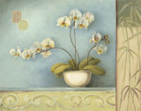 Orchid Spa I Pósters por Lisa Audit