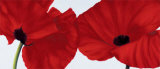 Red II Prints by Yvonne Poelstra Holzhaus