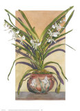 Arts and Crafts Orchids, Angraecum Supurbum Prints by Sally Robertson