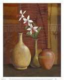 Asian Arrangement I Kunstdruck von Thomas Wood