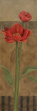 Geometric Poppy I Posters by Carol Robinson