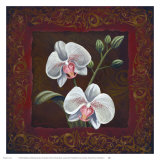 Orchid Study II Posters by Thomas Wood