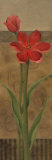 Geometric Poppy II Prints by Carol Robinson