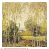Autumn Scene II Prints by P. Patrick