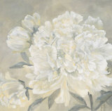 Paeonia I Posters tekijänä Jettie Roseboom Paeonia I Posters tekijänä Jettie Roseboom