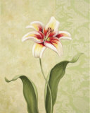 Lily Surprise Lámina por Debra Lake Lily Surprise Lámina por Debra Lake