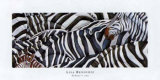 Zebras's Sea Prints by LISA BENOUDIZ