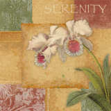 Serenity Orchid Arte por Elizabeth King Brownd Serenity Orchid Arte por Elizabeth King Brownd