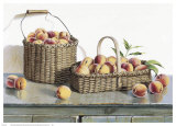 Summer Peaches Prints by Pauline Eblé Campanelli